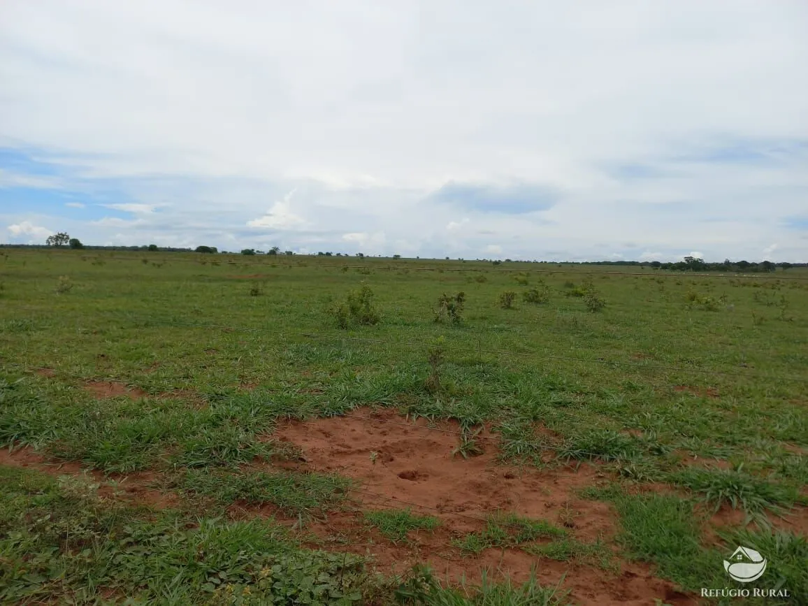 Farm for sale of 3,830 acres in Camapuã, MS, Brazil