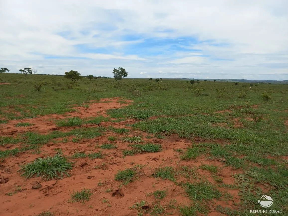 Farm for sale of 3,830 acres in Camapuã, MS, Brazil
