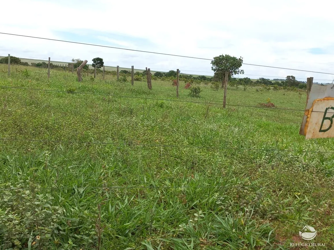 Farm for sale of 3,830 acres in Camapuã, MS, Brazil