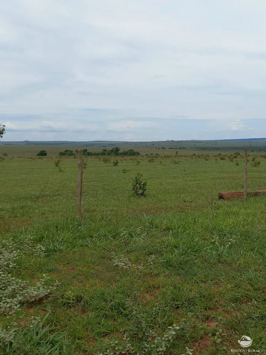 Farm for sale of 3,830 acres in Camapuã, MS, Brazil