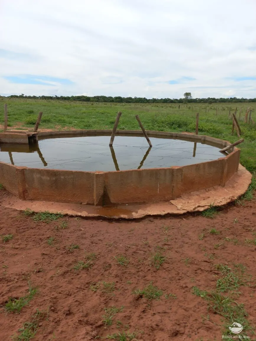Farm for sale of 3,830 acres in Camapuã, MS, Brazil