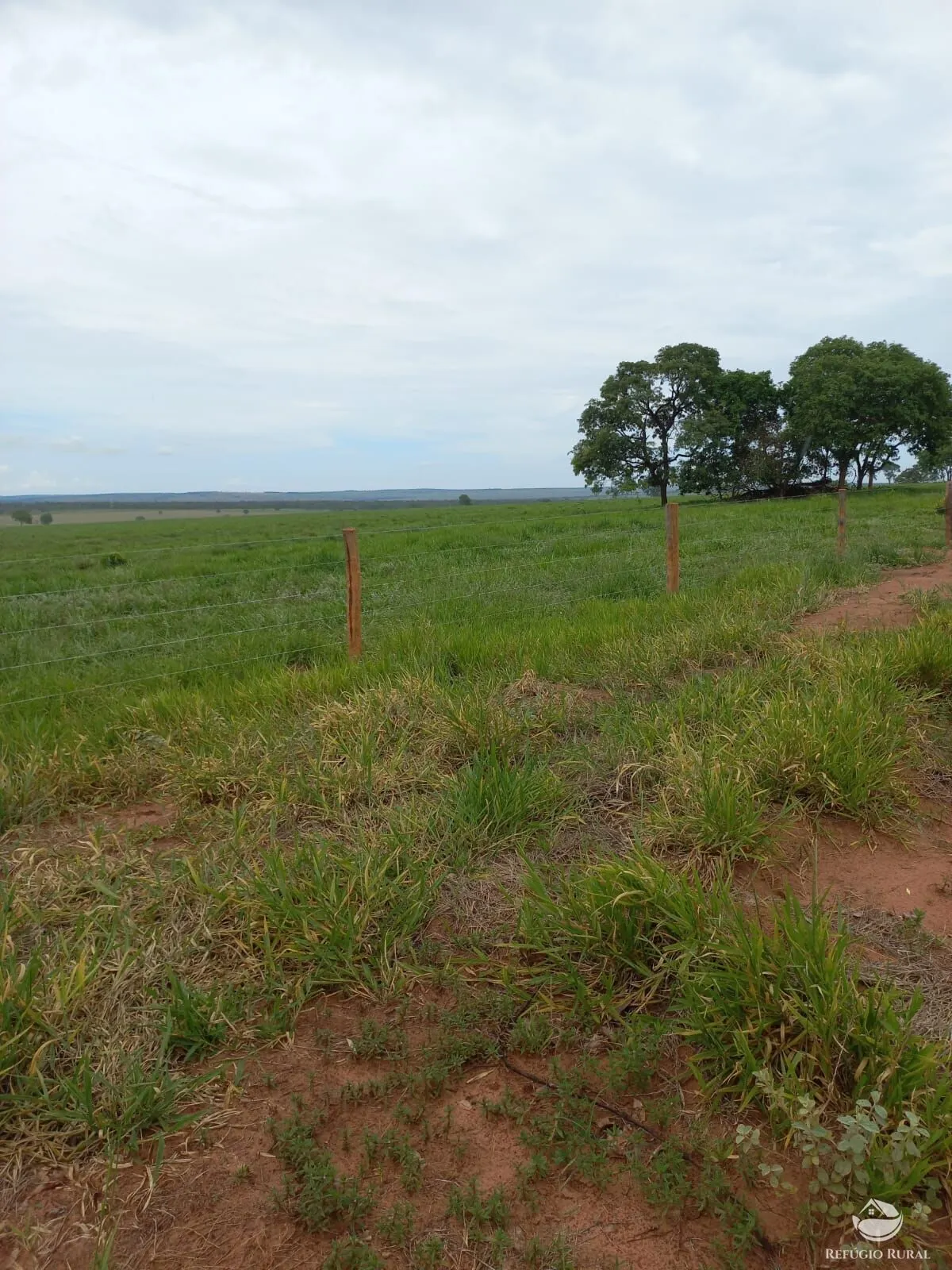 Farm for sale of 3,830 acres in Camapuã, MS, Brazil