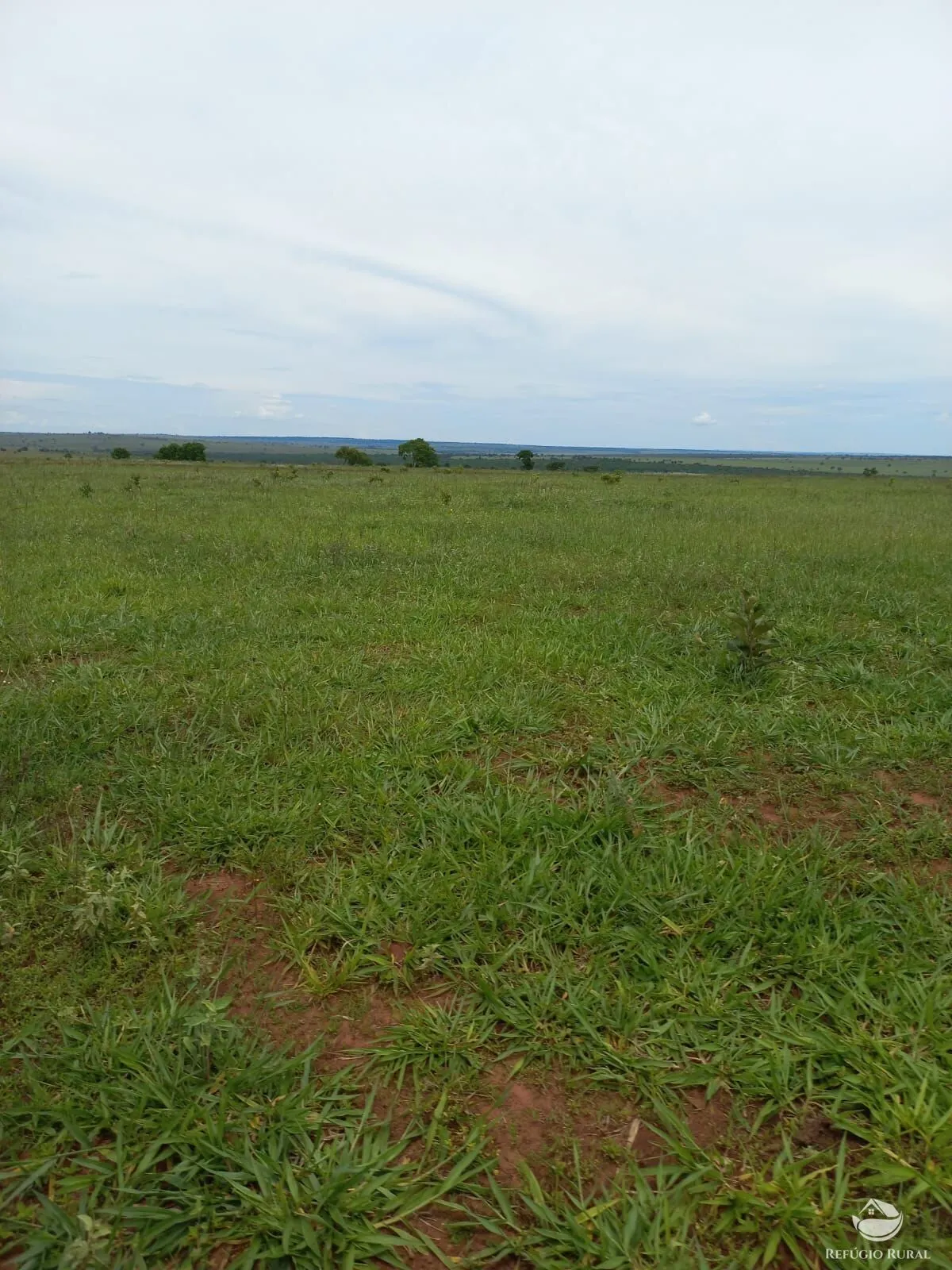Farm for sale of 3,830 acres in Camapuã, MS, Brazil