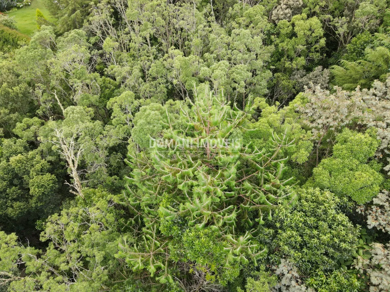 Terreno à venda de 2.220 m² em Campos do Jordão, SP, Brasil