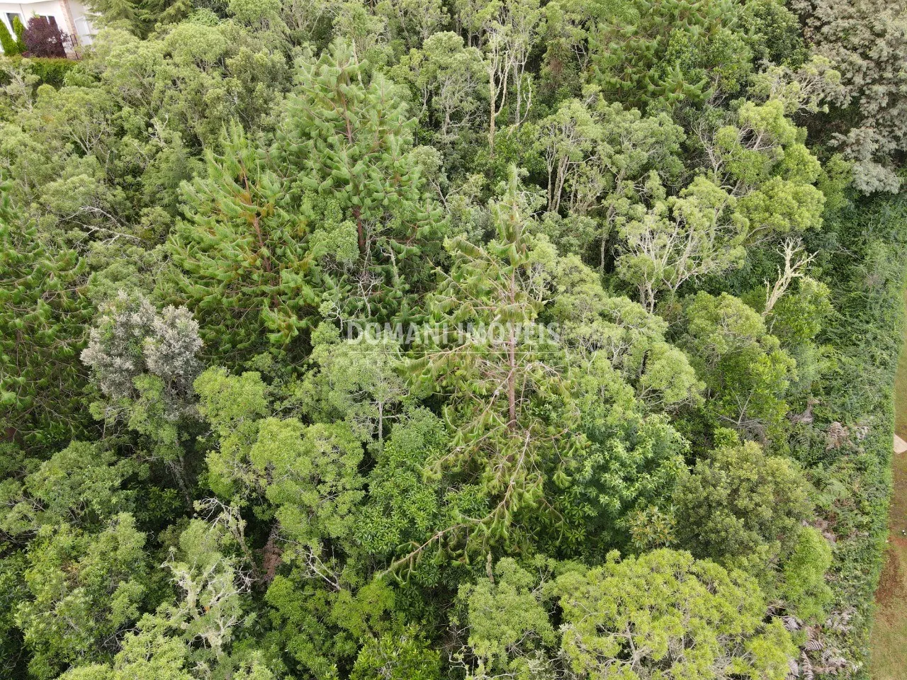 Terreno à venda de 2.220 m² em Campos do Jordão, SP, Brasil