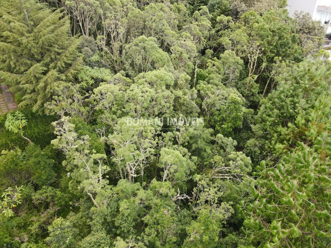 Terreno à venda de 2.220 m² em Campos do Jordão, SP, Brasil
