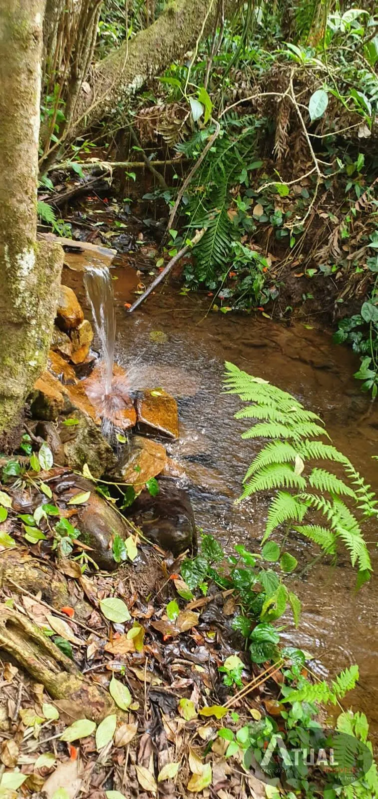 Chácara à venda de 8.000 m² em Nazaré Paulista, SP, Brasil