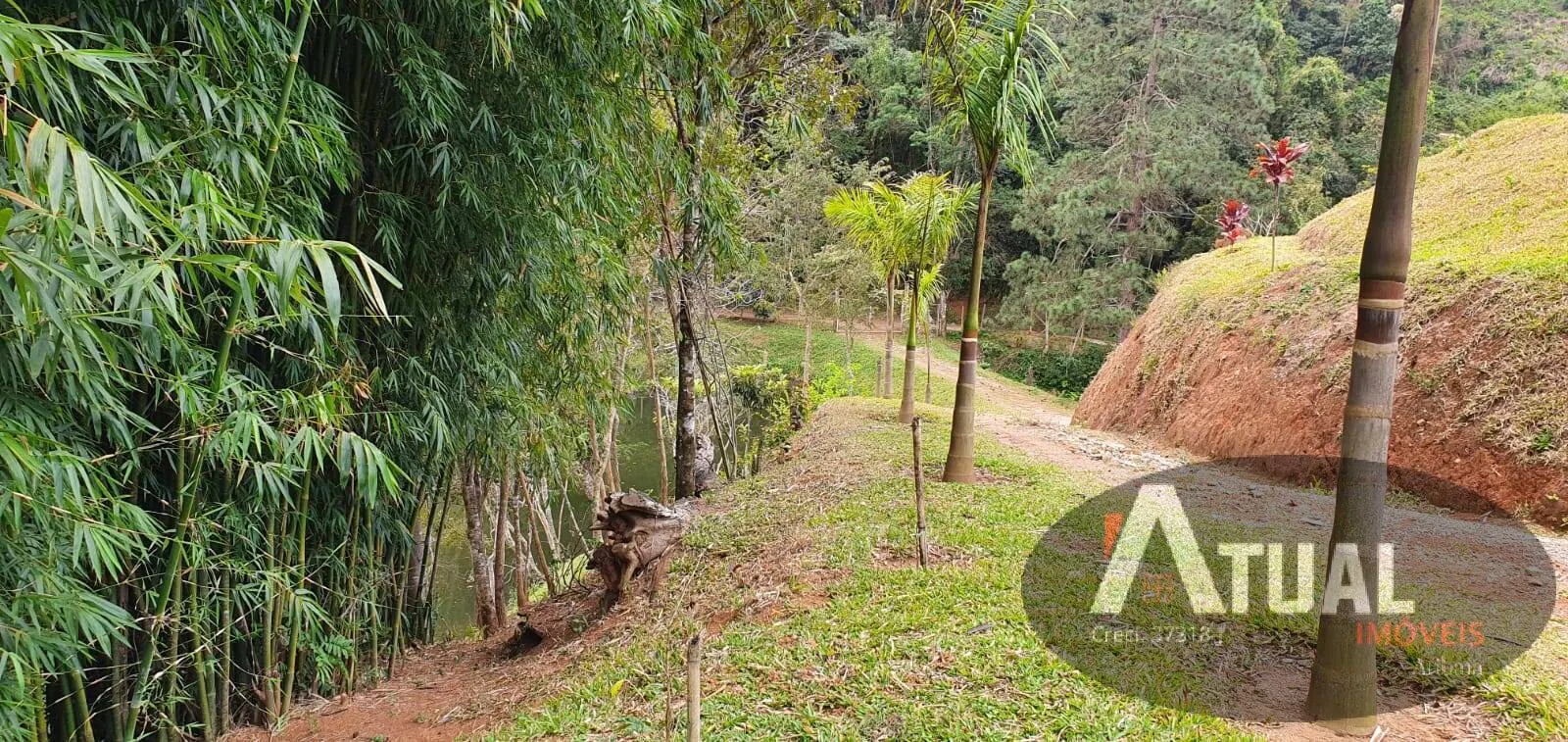 Chácara à venda de 8.000 m² em Nazaré Paulista, SP, Brasil