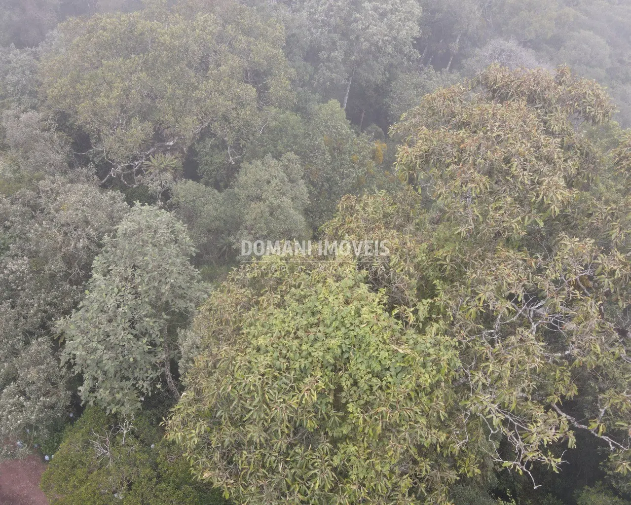 Terreno à venda de 2.370 m² em Campos do Jordão, SP, Brasil