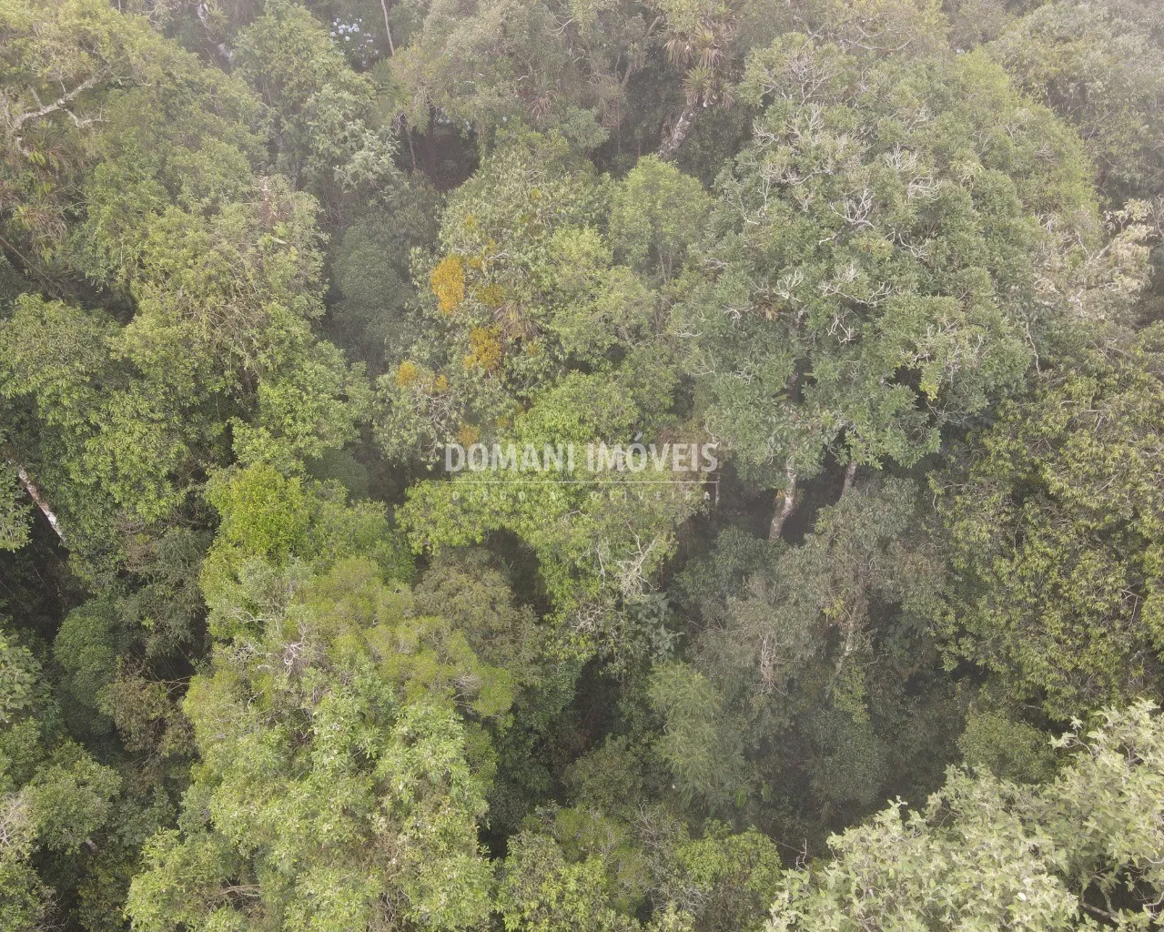 Terreno à venda de 2.370 m² em Campos do Jordão, SP, Brasil
