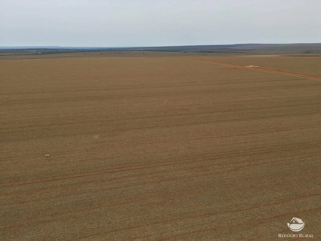 Fazenda à venda de 17.844 ha em Campo Novo do Parecis, MT, Brasil