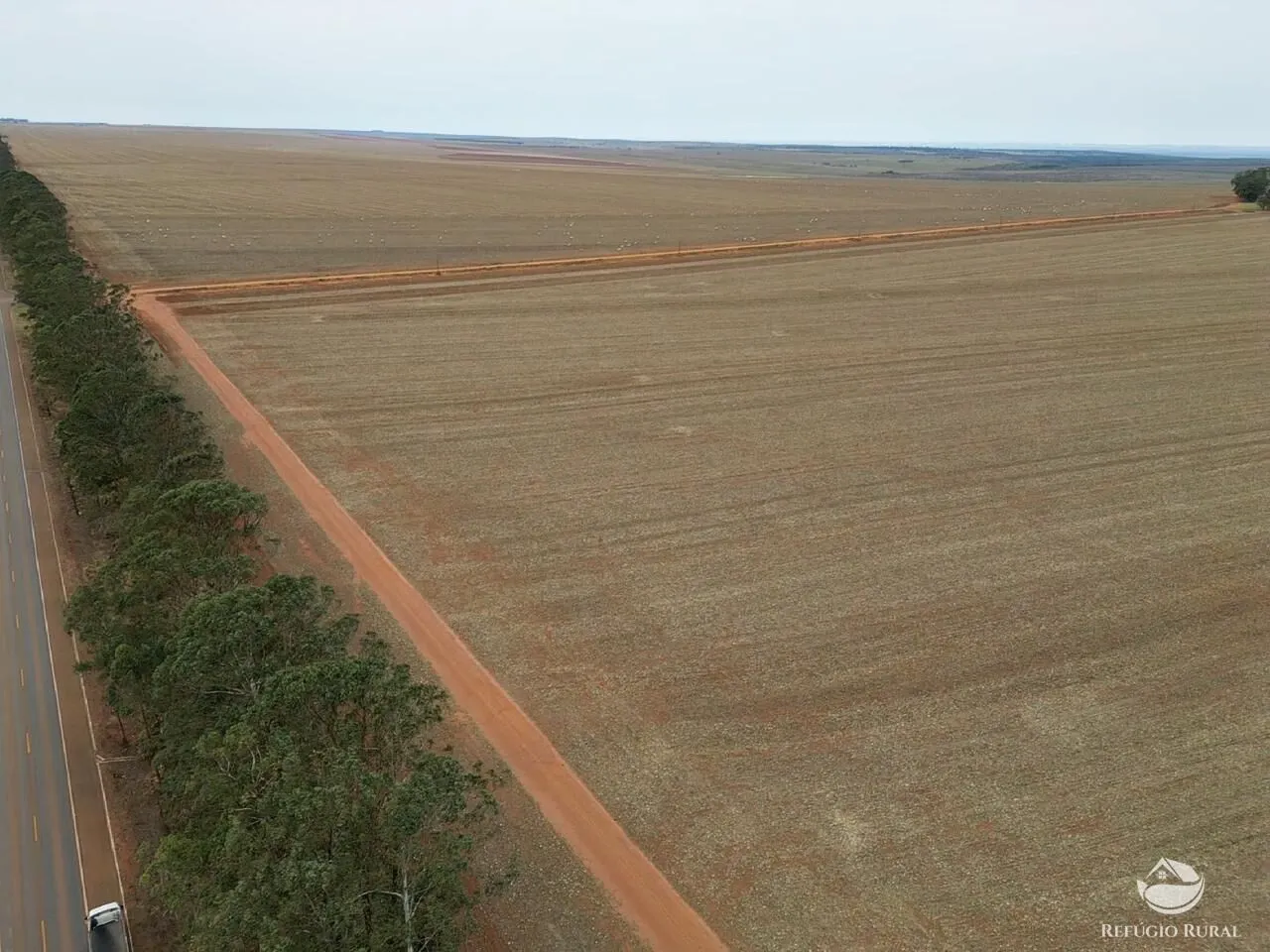 Fazenda à venda de 17.844 ha em Campo Novo do Parecis, MT, Brasil
