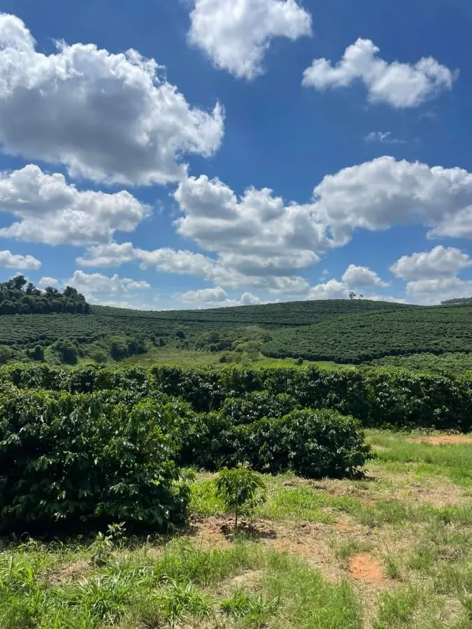 Farm for sale of 1,471 acres in Caconde, SP, Brazil