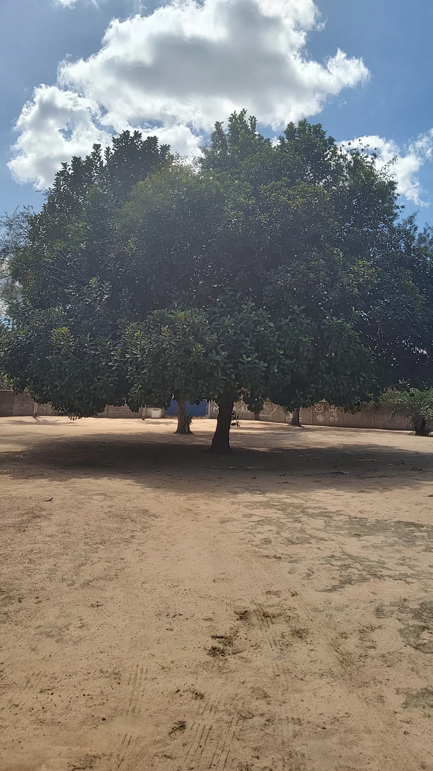 Chácara à venda e para Arrendar de 1 ha em Feira de Santana, BA, Brasil