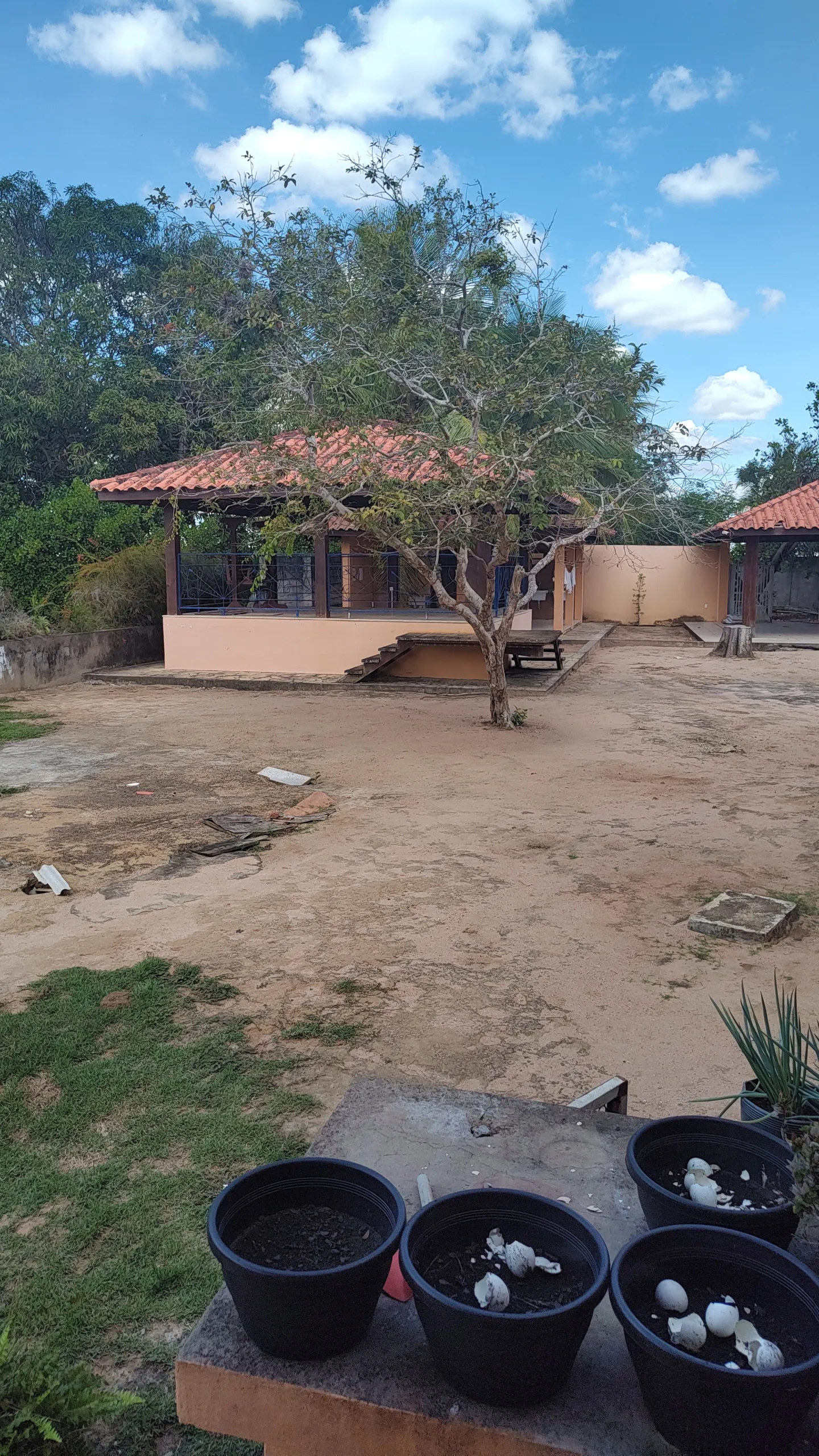 Chácara à venda e para Arrendar de 1 ha em Feira de Santana, BA, Brasil
