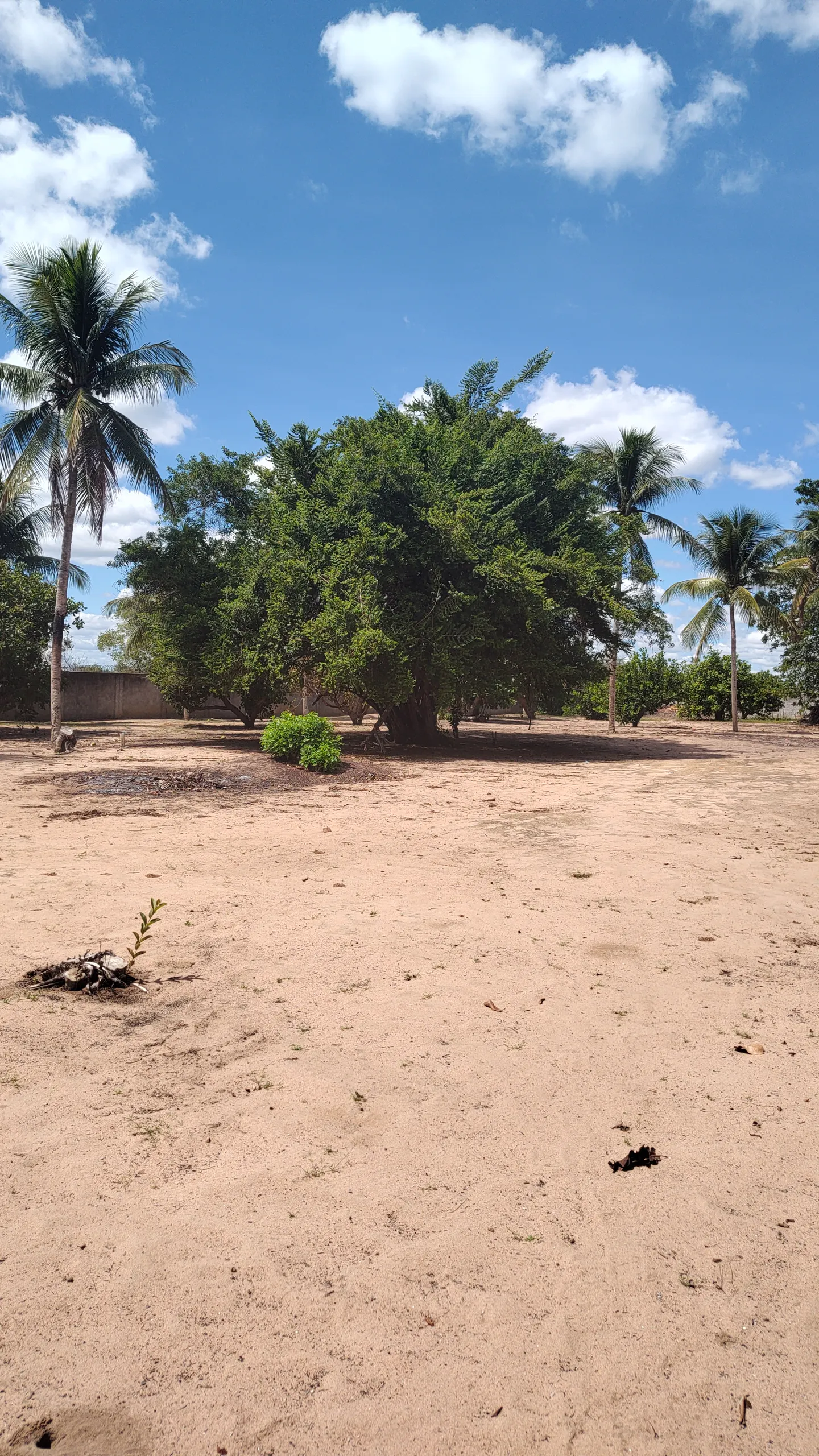 Chácara à venda e para Arrendar de 1 ha em Feira de Santana, BA, Brasil