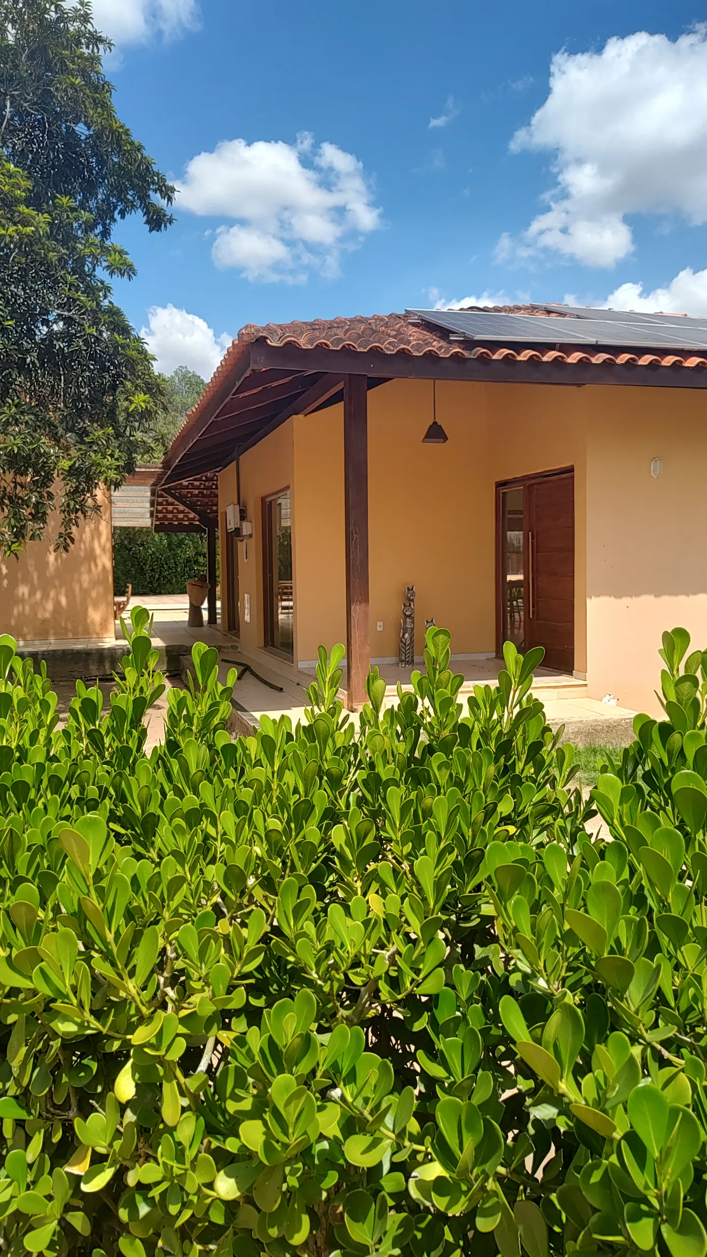 Chácara à venda e para Arrendar de 1 ha em Feira de Santana, BA, Brasil