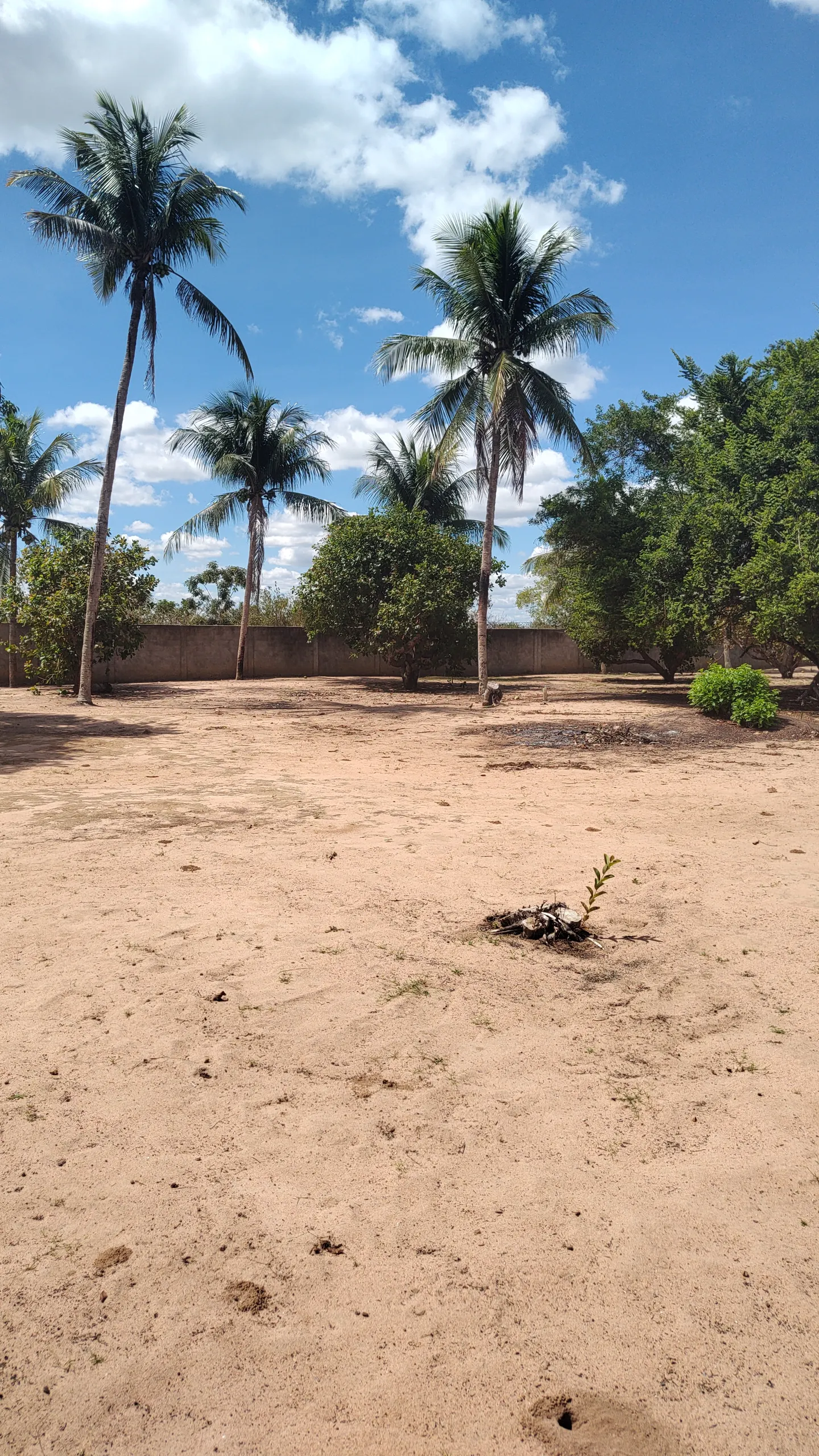 Chácara à venda e para Arrendar de 1 ha em Feira de Santana, BA, Brasil