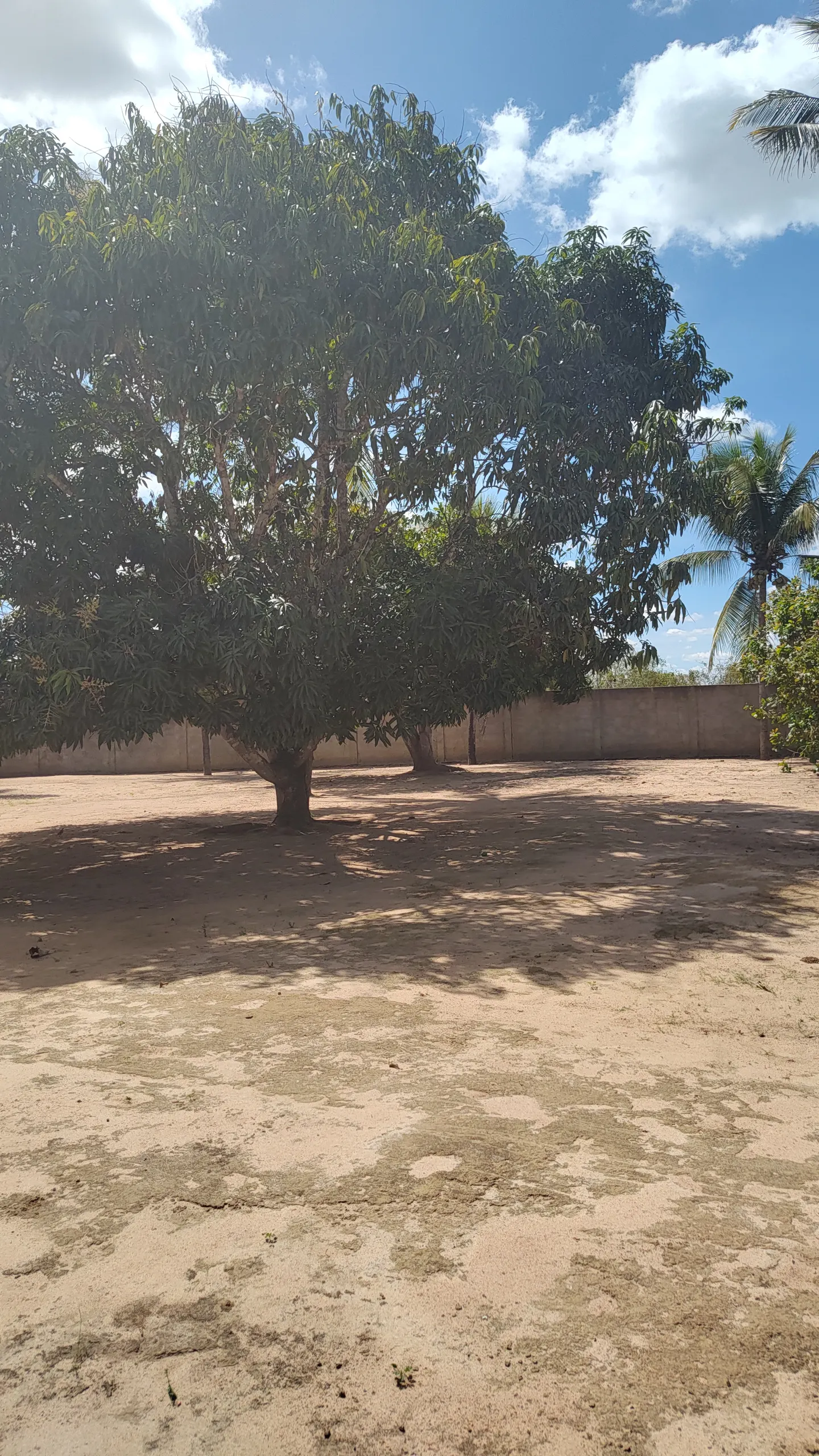 Chácara à venda e para Arrendar de 1 ha em Feira de Santana, BA, Brasil
