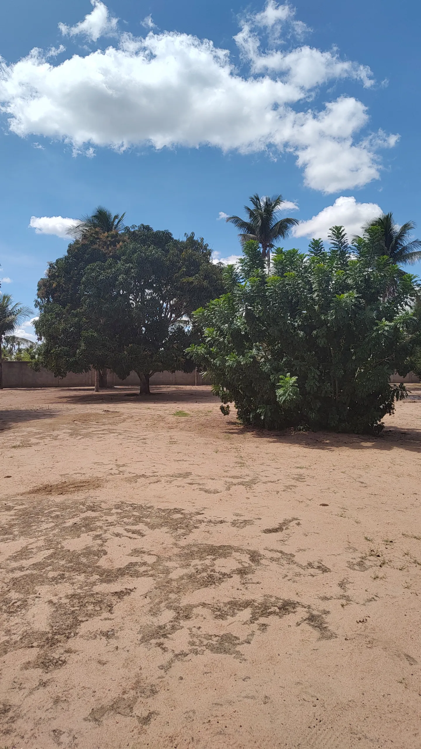 Chácara à venda e para Arrendar de 1 ha em Feira de Santana, BA, Brasil
