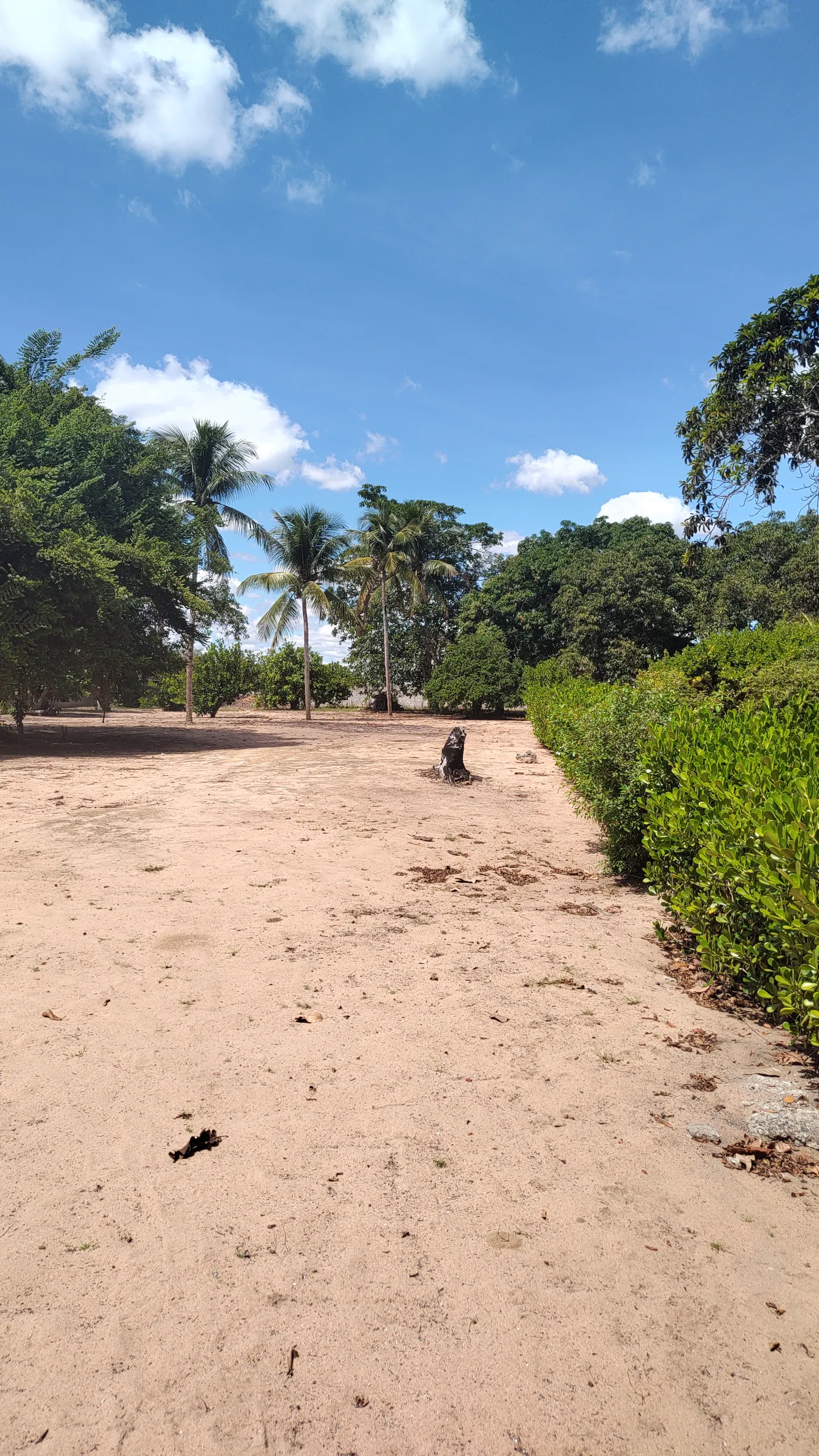 Chácara à venda e para Arrendar de 1 ha em Feira de Santana, BA, Brasil