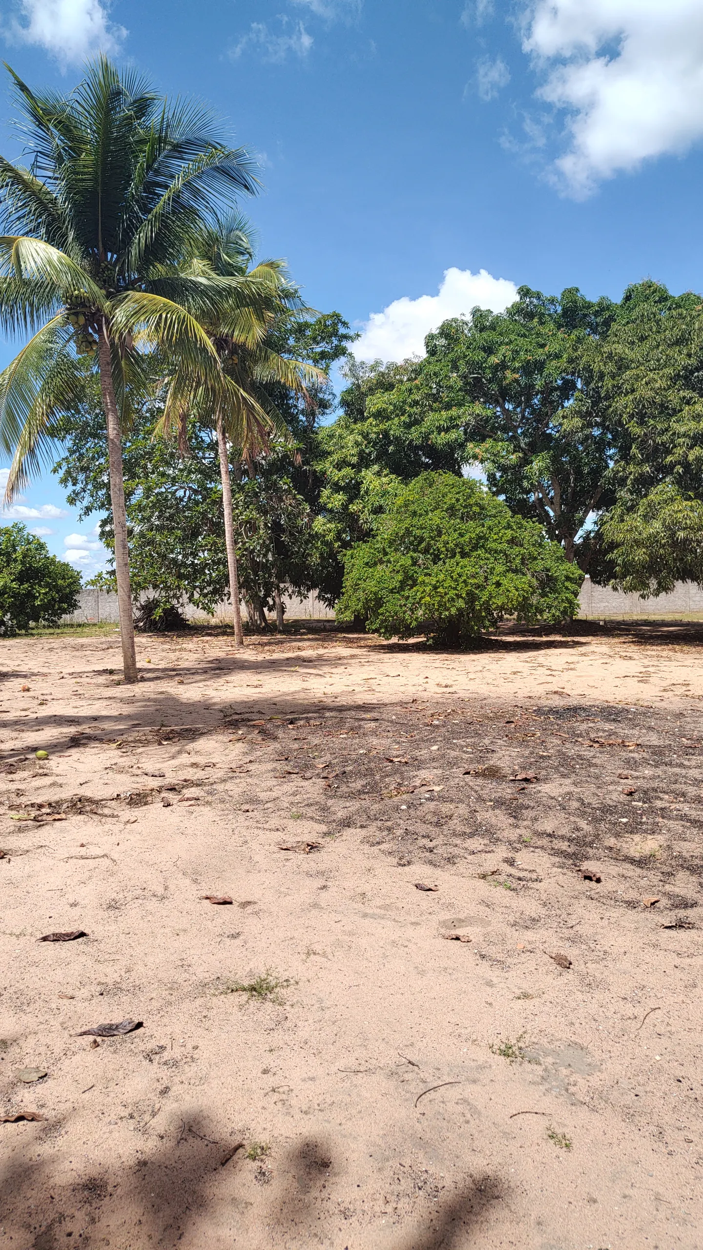 Chácara à venda e para Arrendar de 1 ha em Feira de Santana, BA, Brasil