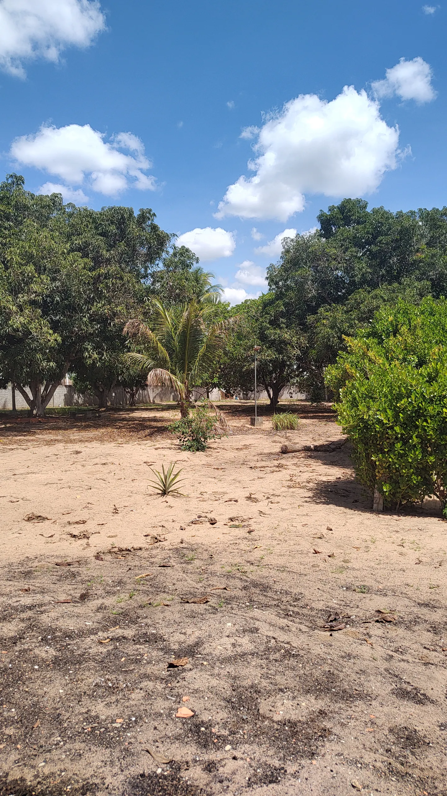 Chácara à venda e para Arrendar de 1 ha em Feira de Santana, BA, Brasil