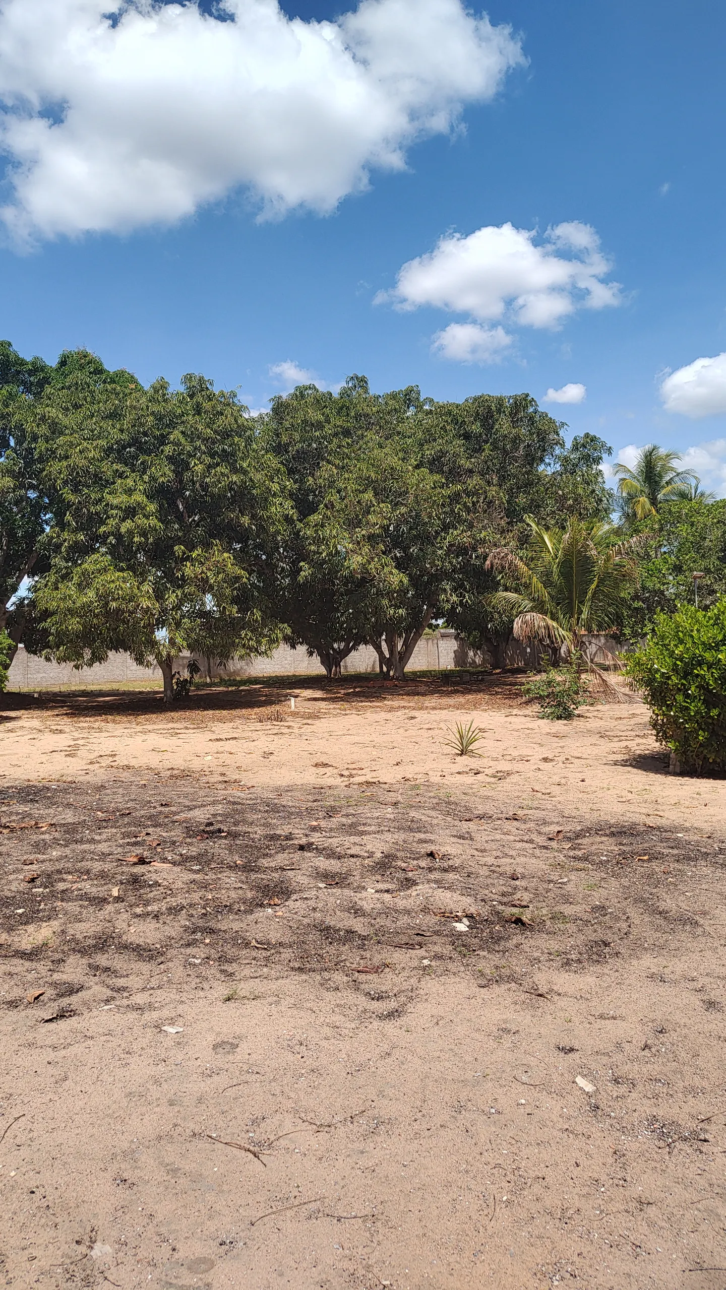 Chácara à venda e para Arrendar de 1 ha em Feira de Santana, BA, Brasil