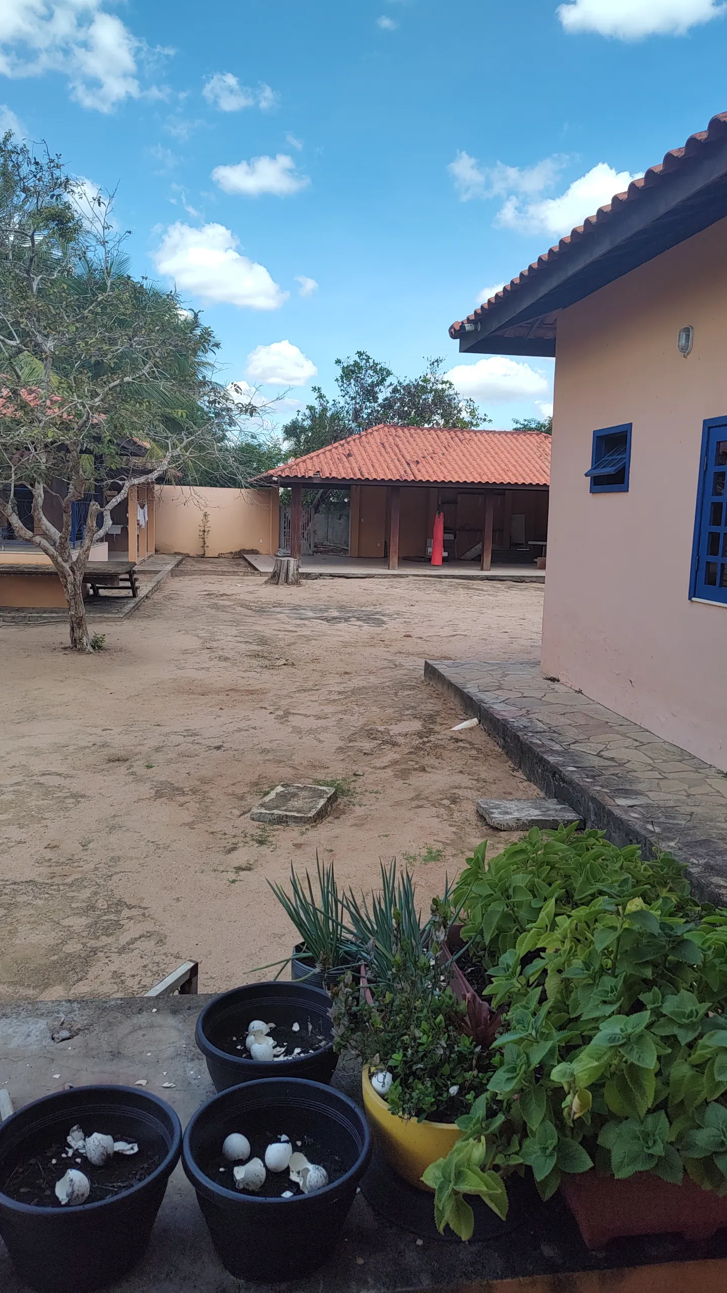Chácara à venda e para Arrendar de 1 ha em Feira de Santana, BA, Brasil