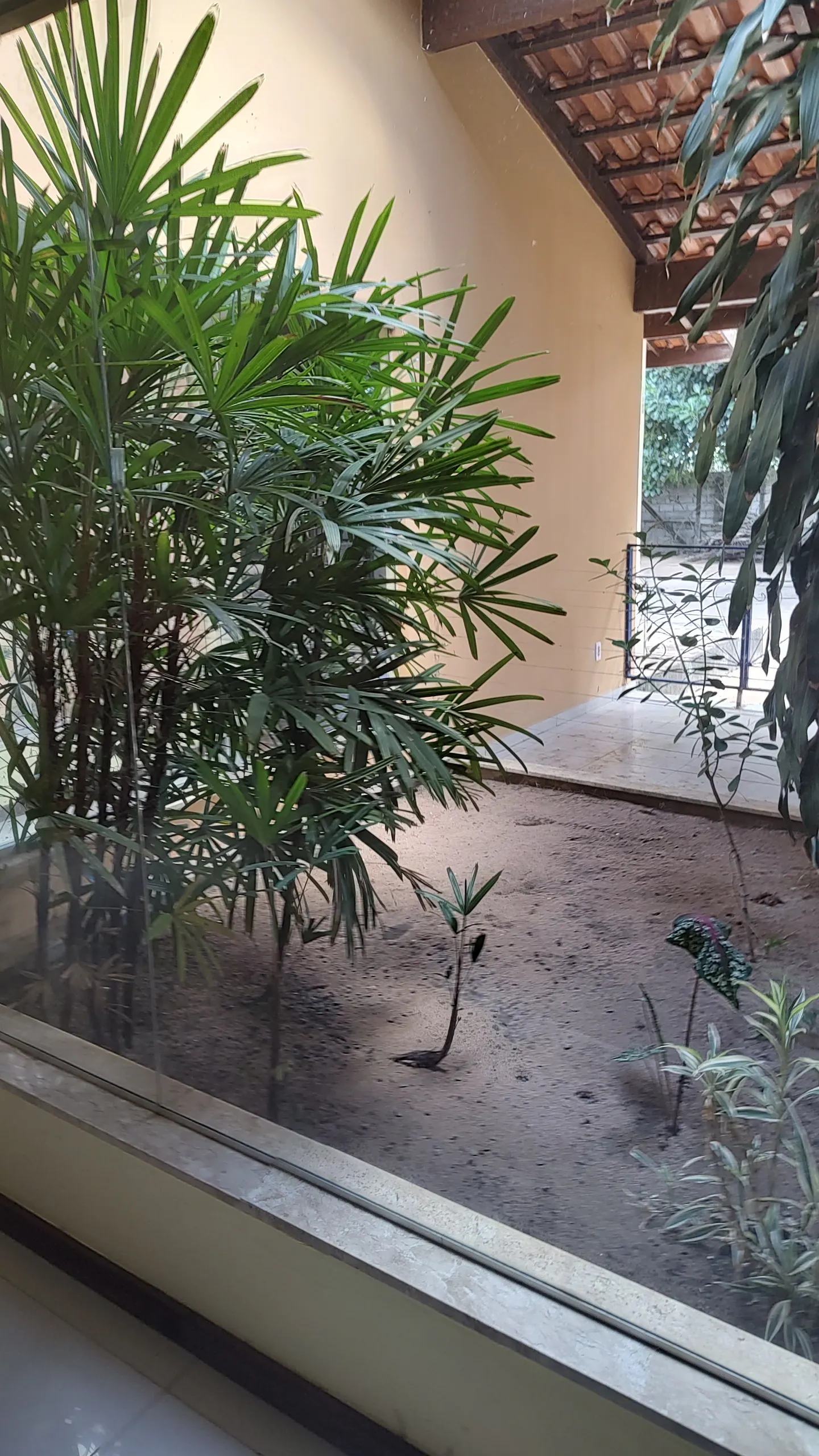 Chácara à venda e para Arrendar de 1 ha em Feira de Santana, BA, Brasil