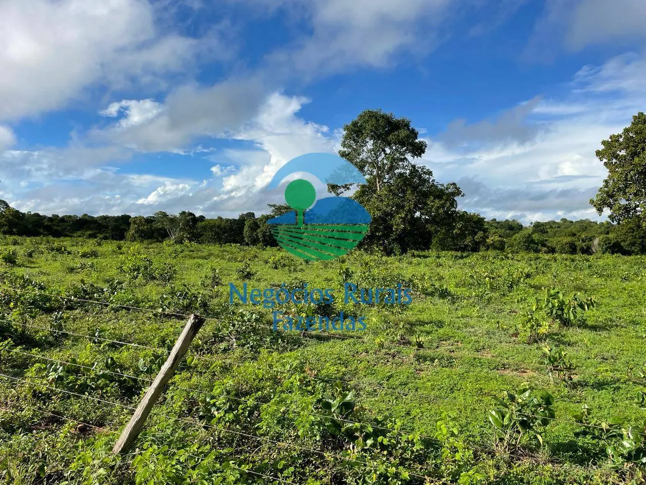 Farm for sale of 2,629 acres in Porangatu, GO, Brazil