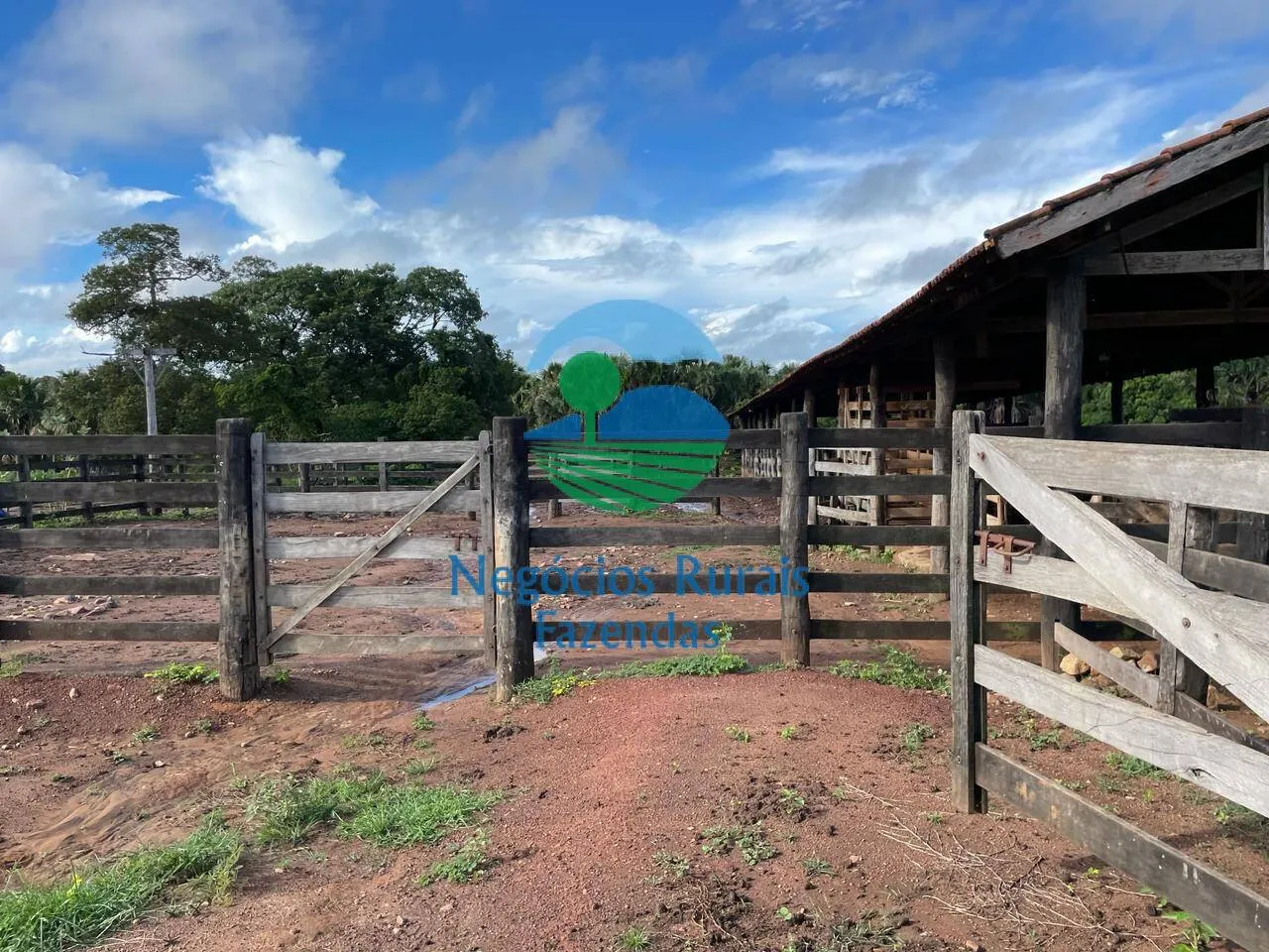 Farm for sale of 2,629 acres in Porangatu, GO, Brazil