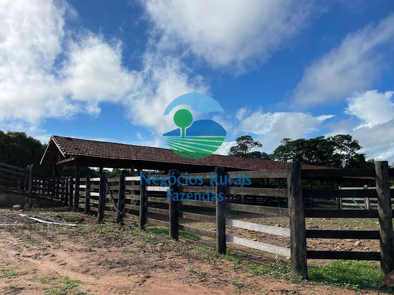 Farm for sale of 2,629 acres in Porangatu, GO, Brazil