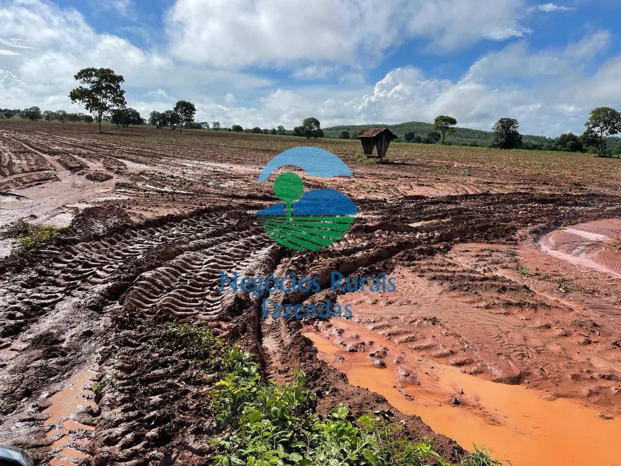Farm for sale of 2,629 acres in Porangatu, GO, Brazil