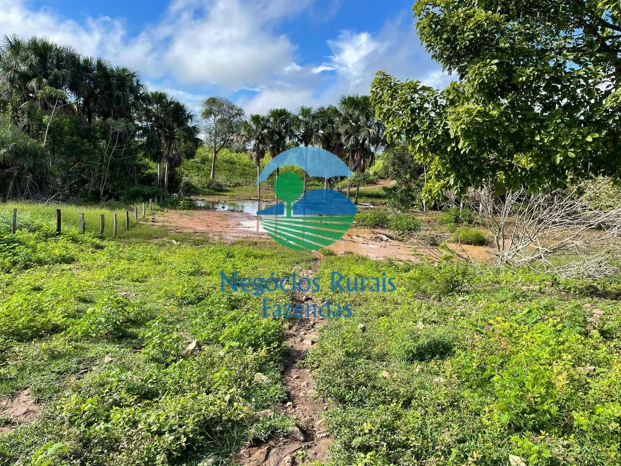 Farm for sale of 2,629 acres in Porangatu, GO, Brazil