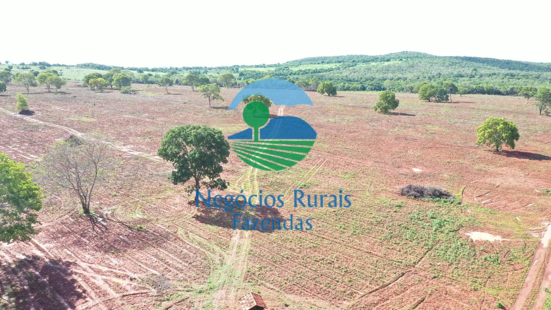 Farm for sale of 2,629 acres in Porangatu, GO, Brazil