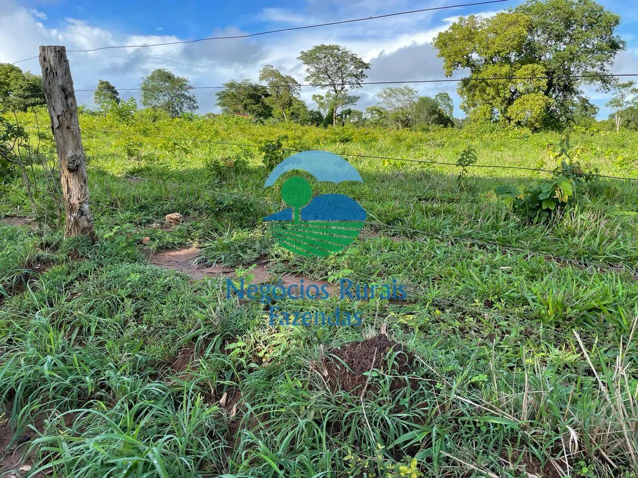 Farm for sale of 2,629 acres in Porangatu, GO, Brazil