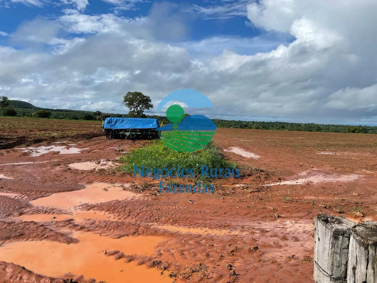 Farm for sale of 2,629 acres in Porangatu, GO, Brazil