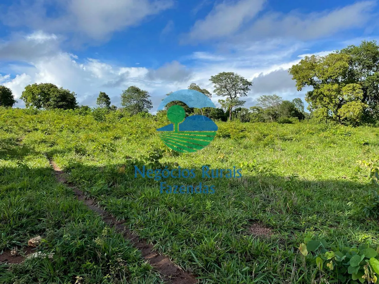 Farm for sale of 2,629 acres in Porangatu, GO, Brazil