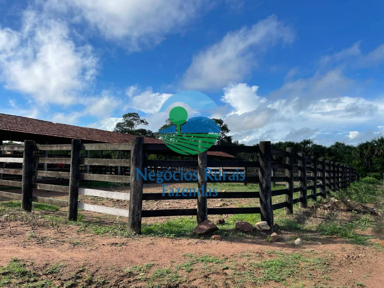 Farm for sale of 2,629 acres in Porangatu, GO, Brazil