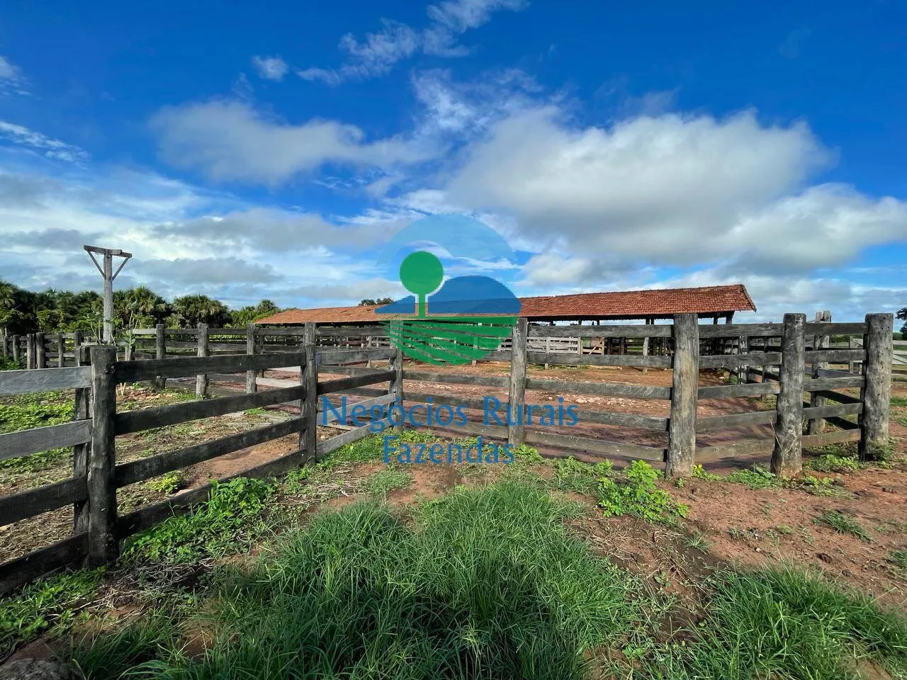 Farm for sale of 2,629 acres in Porangatu, GO, Brazil