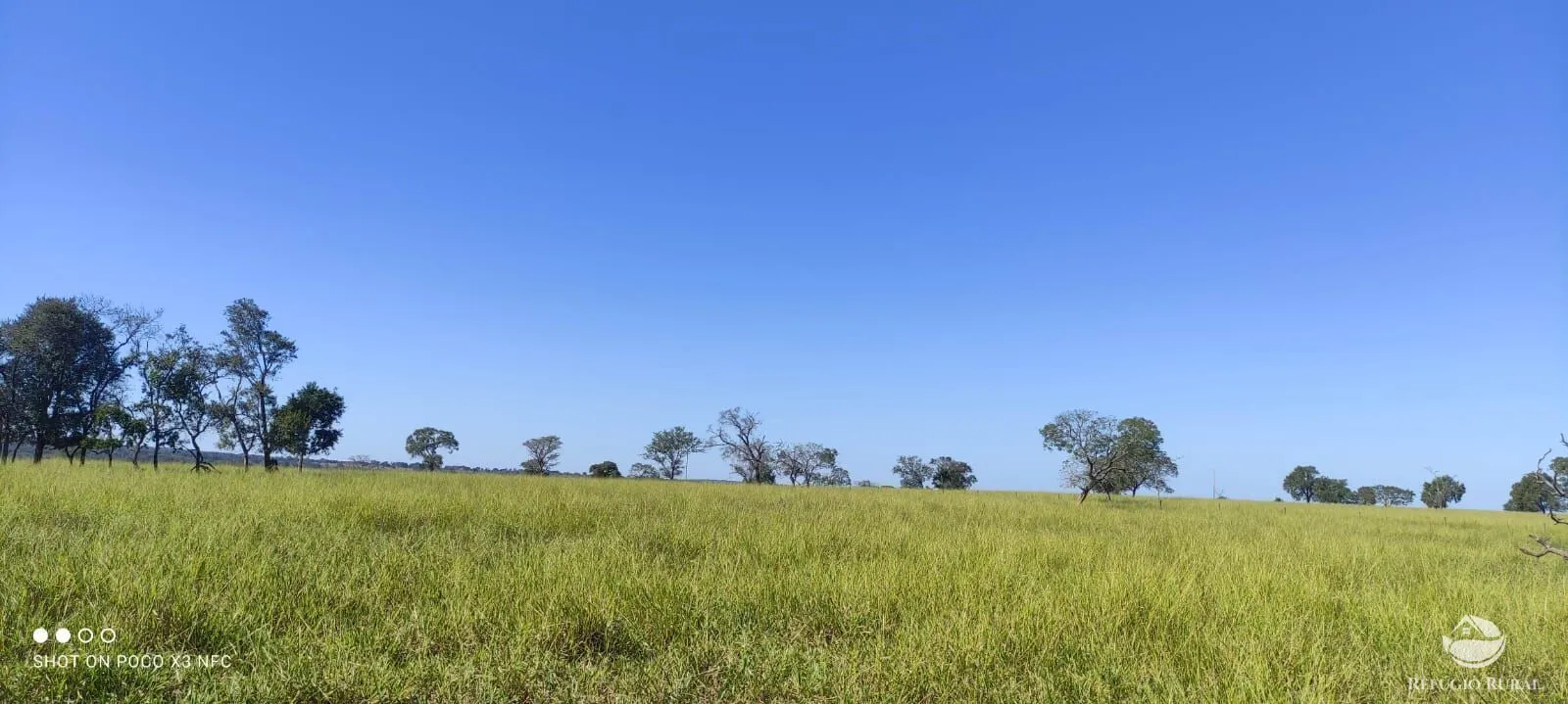 Farm for sale of 2,202 acres in Figueirão, MS, Brazil