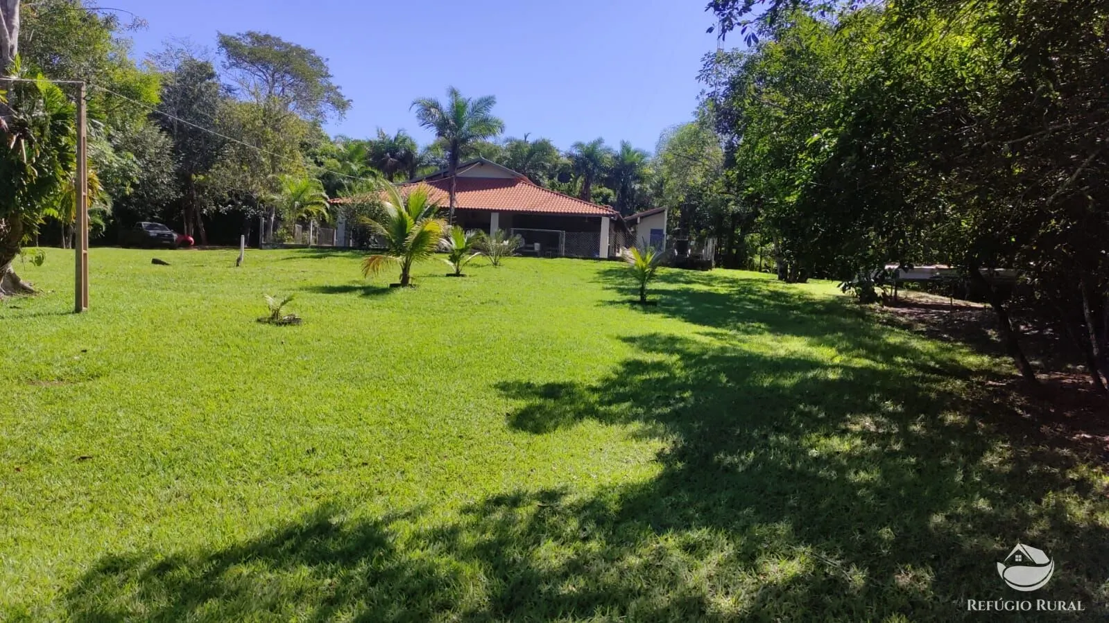 Fazenda à venda de 891 ha em Figueirão, MS, Brasil