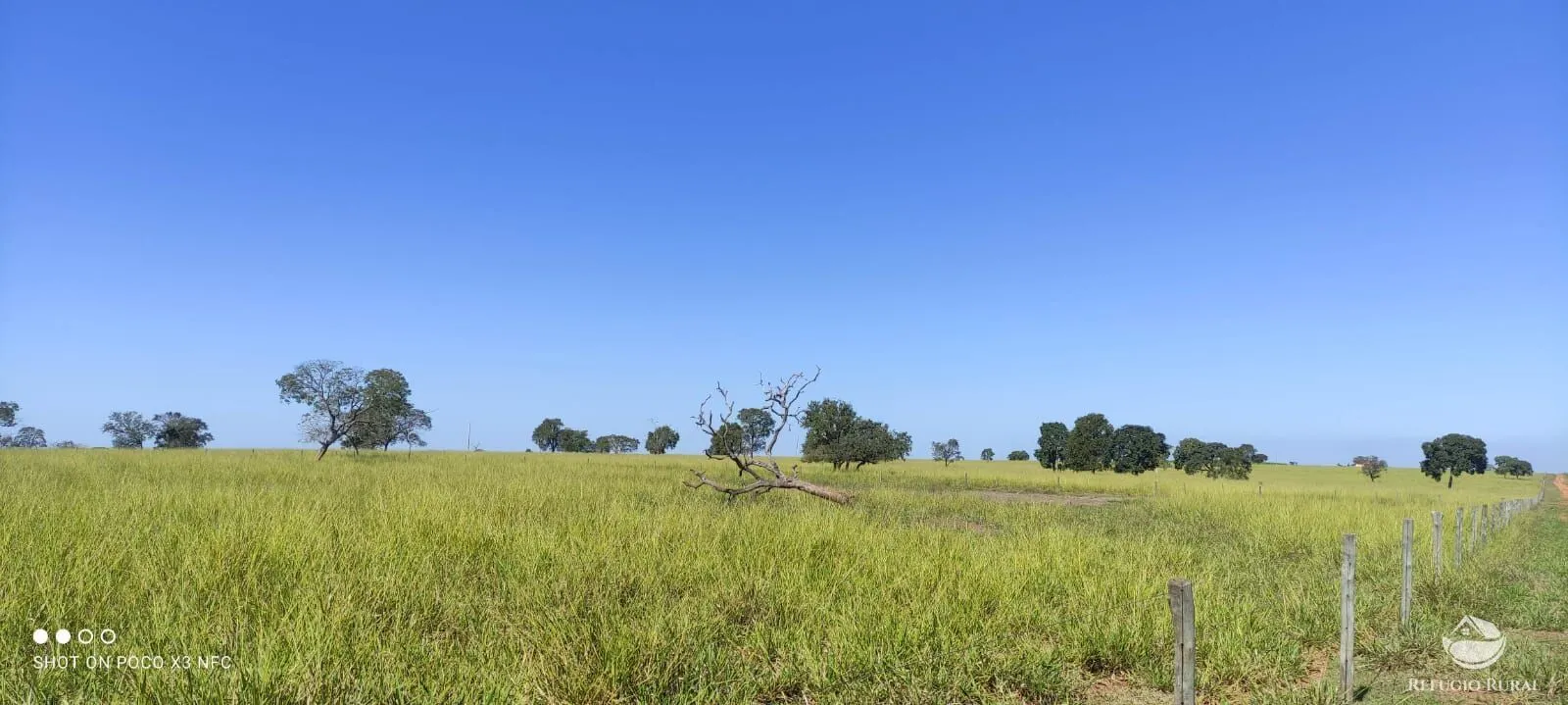 Farm for sale of 2,202 acres in Figueirão, MS, Brazil