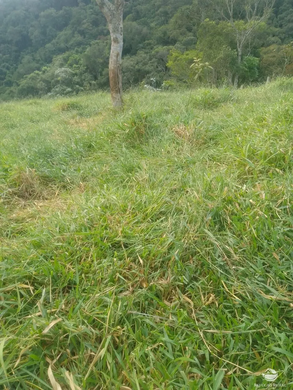 Terreno à venda de 2 ha em São José dos Campos, SP, Brasil