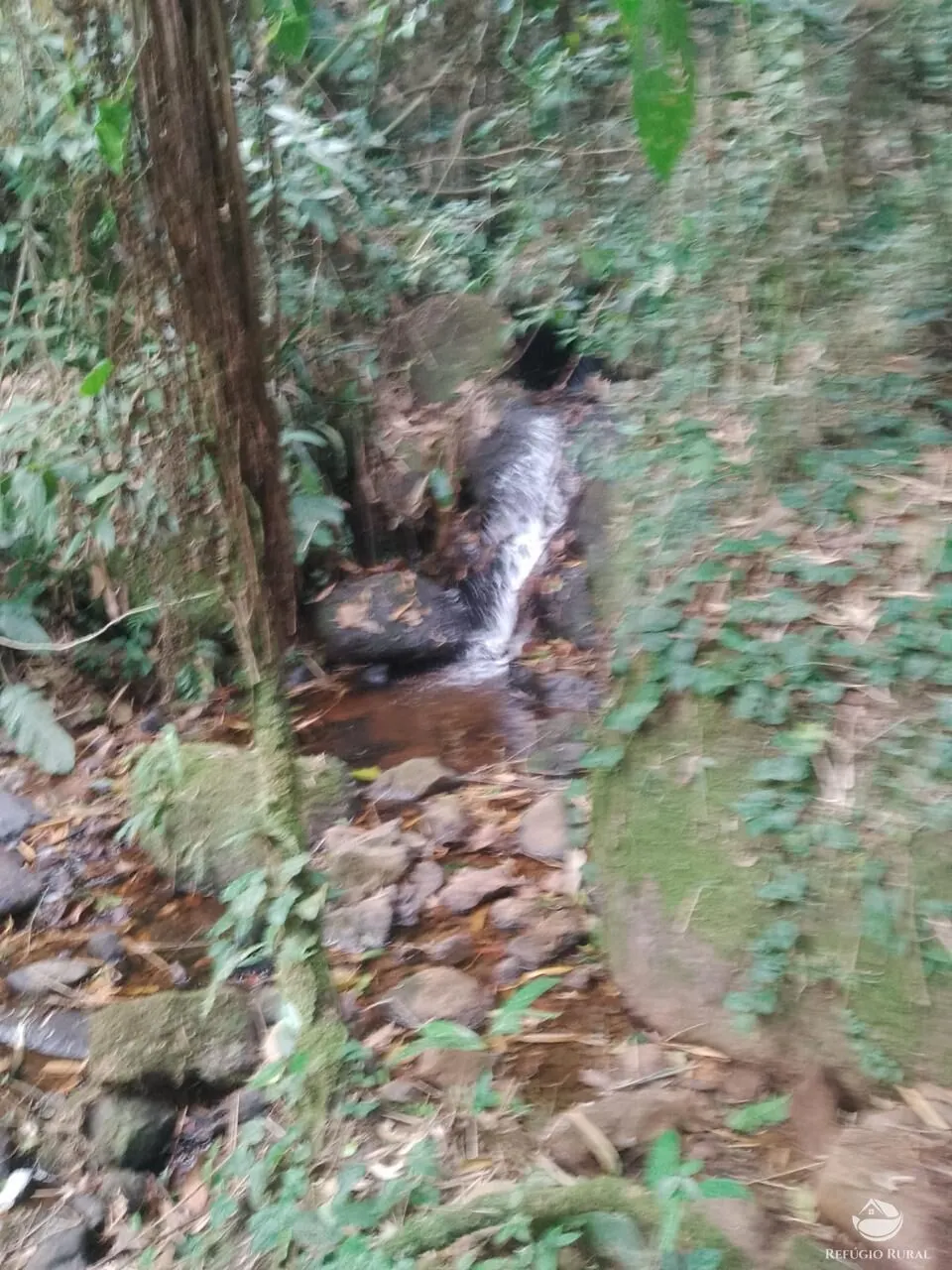 Terreno à venda de 2 ha em São José dos Campos, SP, Brasil