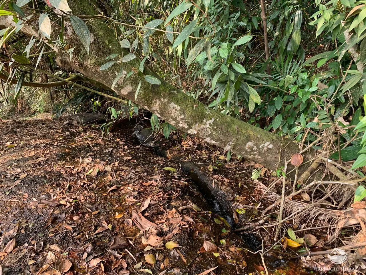Terreno à venda de 2 ha em São José dos Campos, SP, Brasil