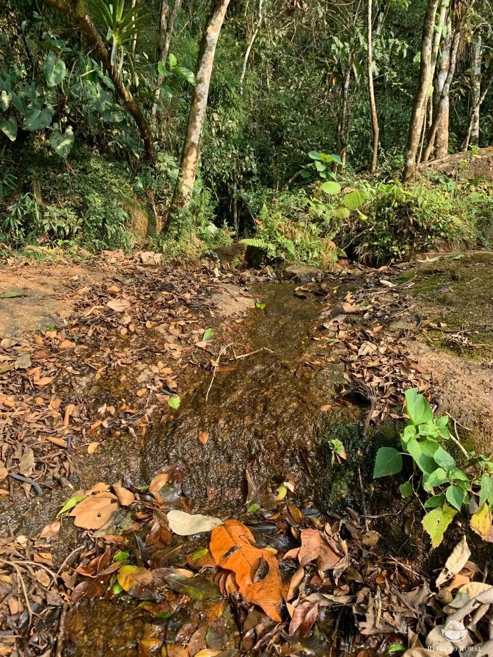 Terreno à venda de 2 ha em São José dos Campos, SP, Brasil