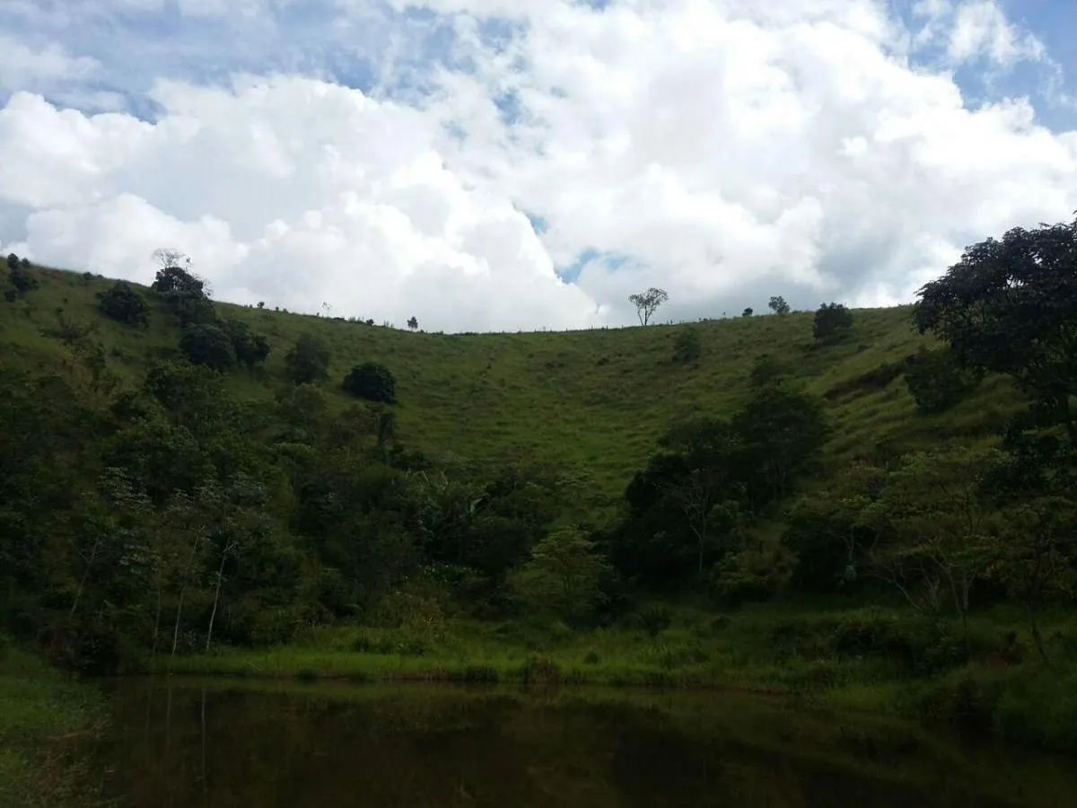 Fazenda à venda de 100 ha em Taubaté, SP, Brasil