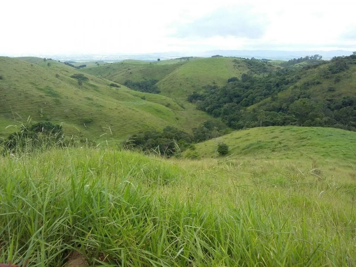 Fazenda à venda de 100 ha em Taubaté, SP, Brasil